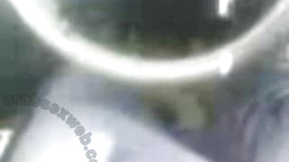 Kovrdžava ljepotica masira slatku macu u vrućem VR videu